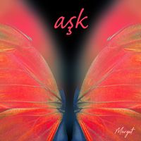 Ask (single)